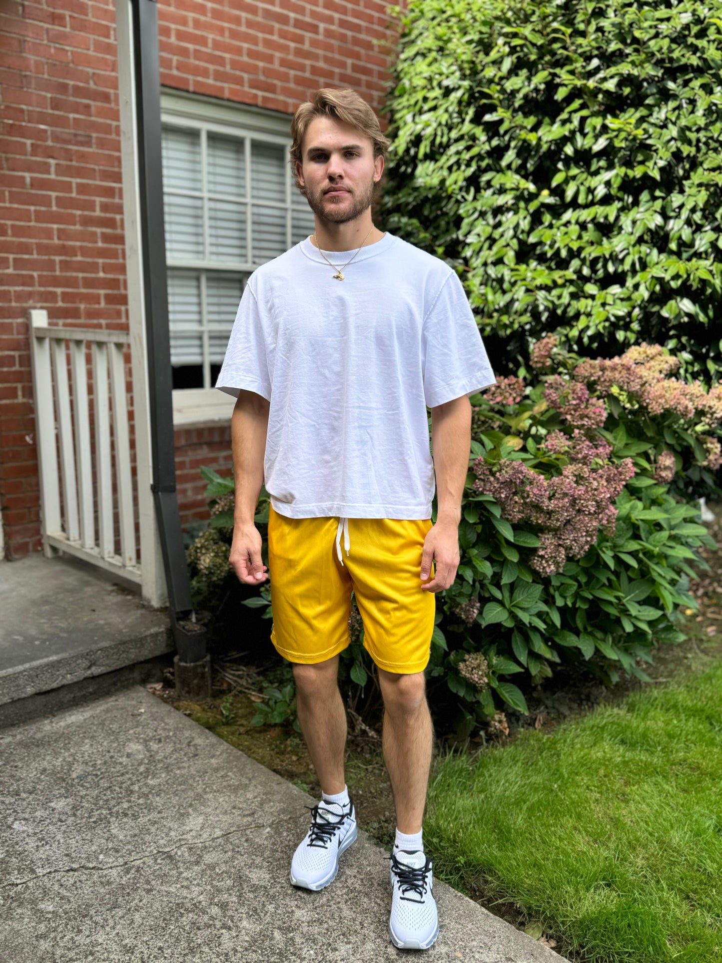Triple Threat Men's Mesh Shorts (Gold with Green and White Stripes)