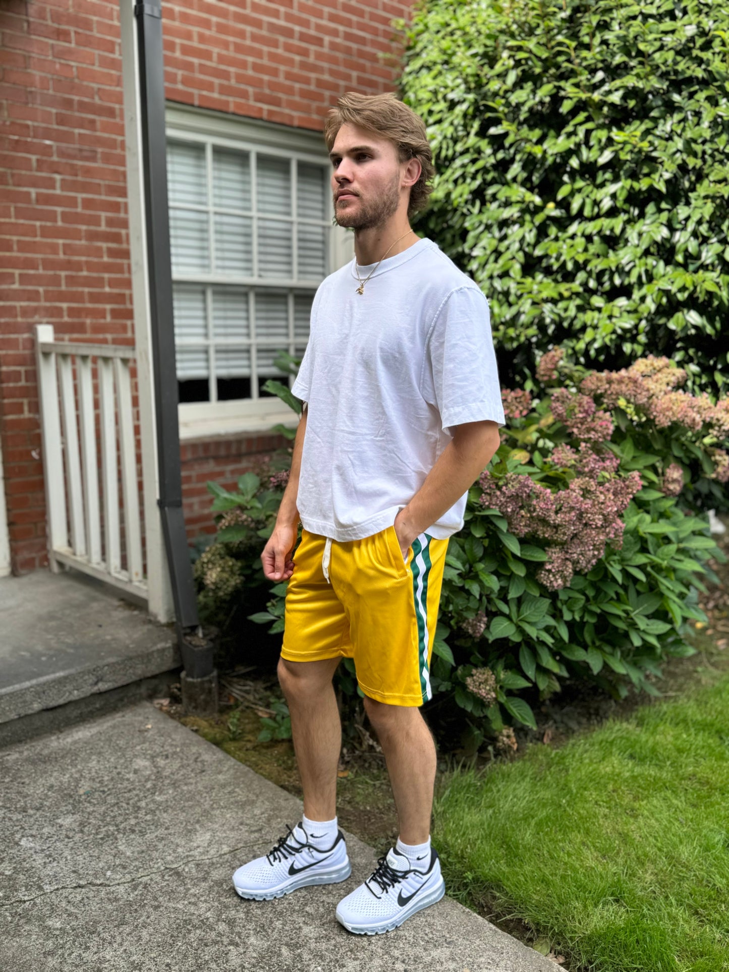 Triple Threat Men's Mesh Shorts (Gold with Green and White Stripes)
