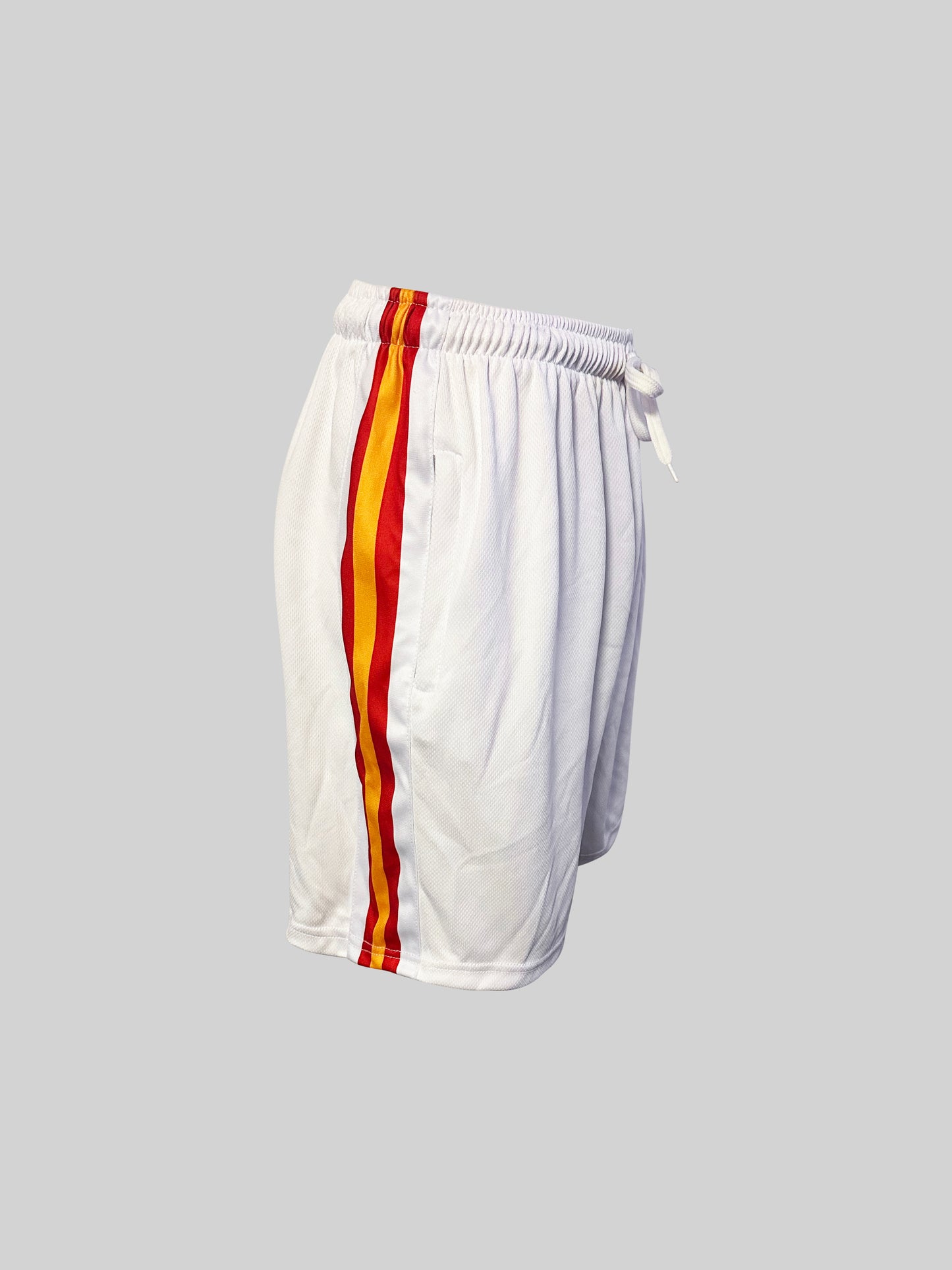 Arrow Dynamic Men's Mesh Shorts White