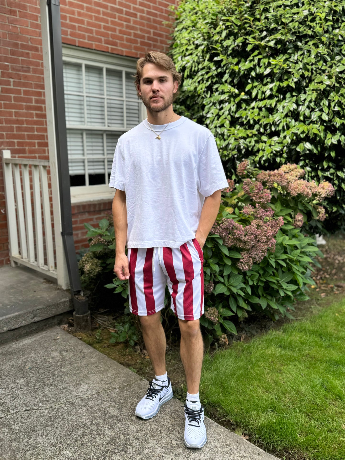 Candy Cane Striped Men's Mesh Shorts