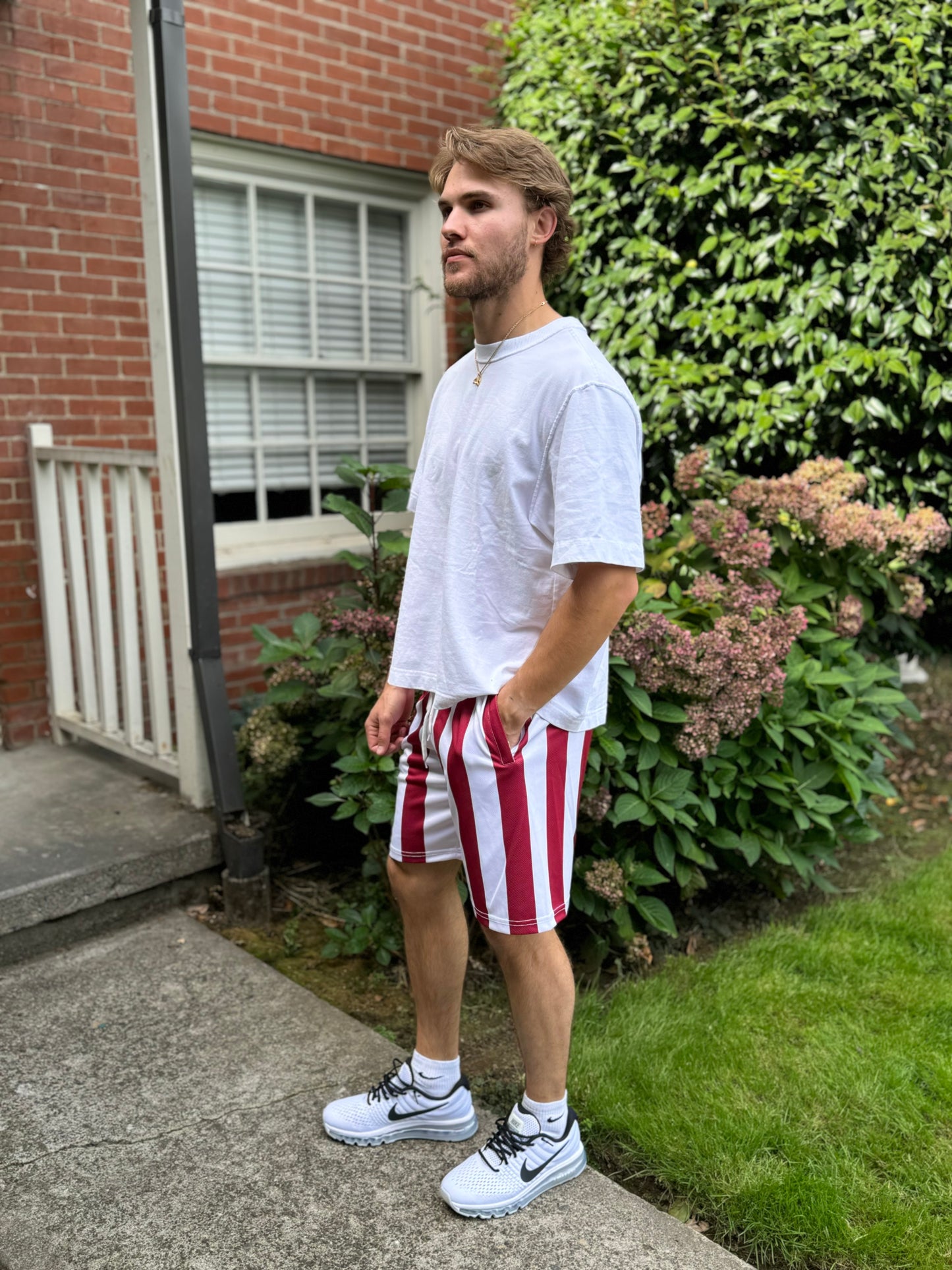 Candy Cane Striped Men's Mesh Shorts